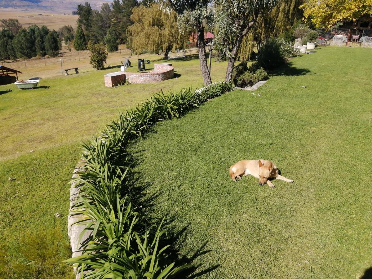 فندق The Fat Mulberry Guest Farm فوريسبرغ المظهر الخارجي الصورة
